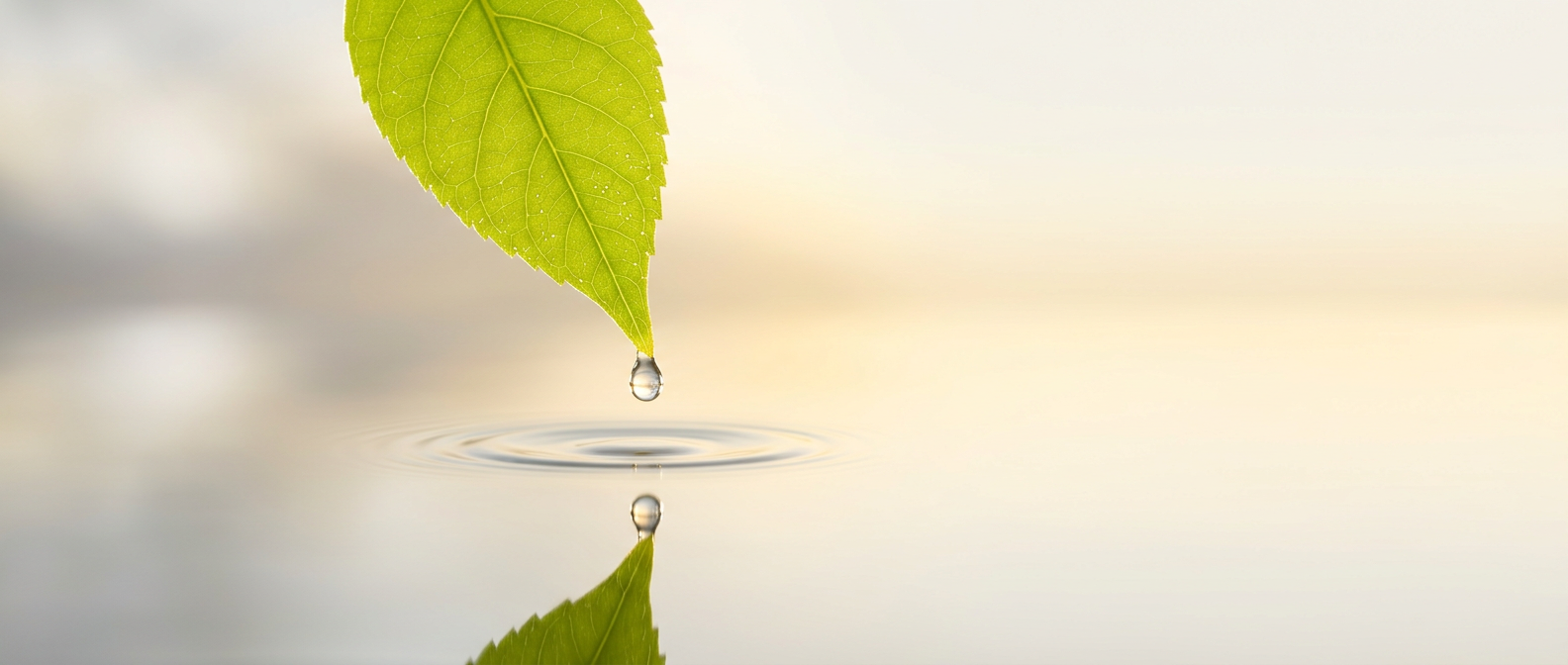 Wassertropen