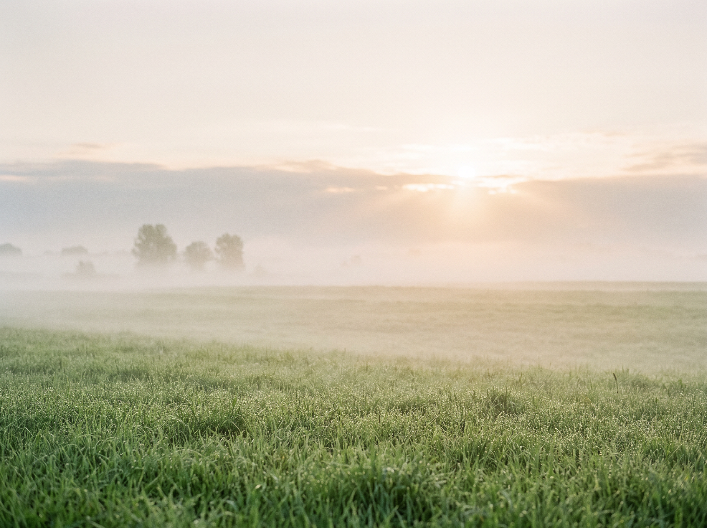 Aufklarender Morgennebel